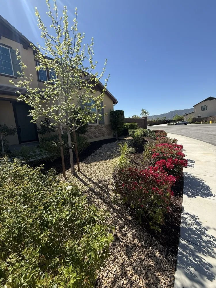 Professional yard cleanup service in Menifee, CA - ShrubGator