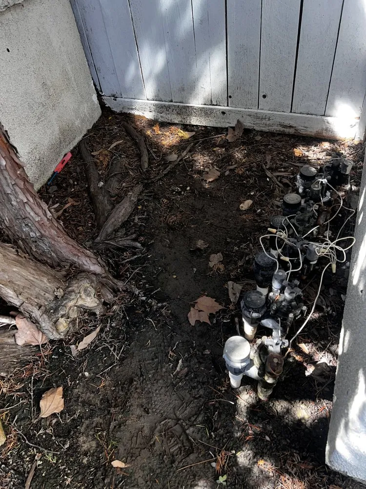 Local garden landscaping in Menifee, CA by ShrubGator