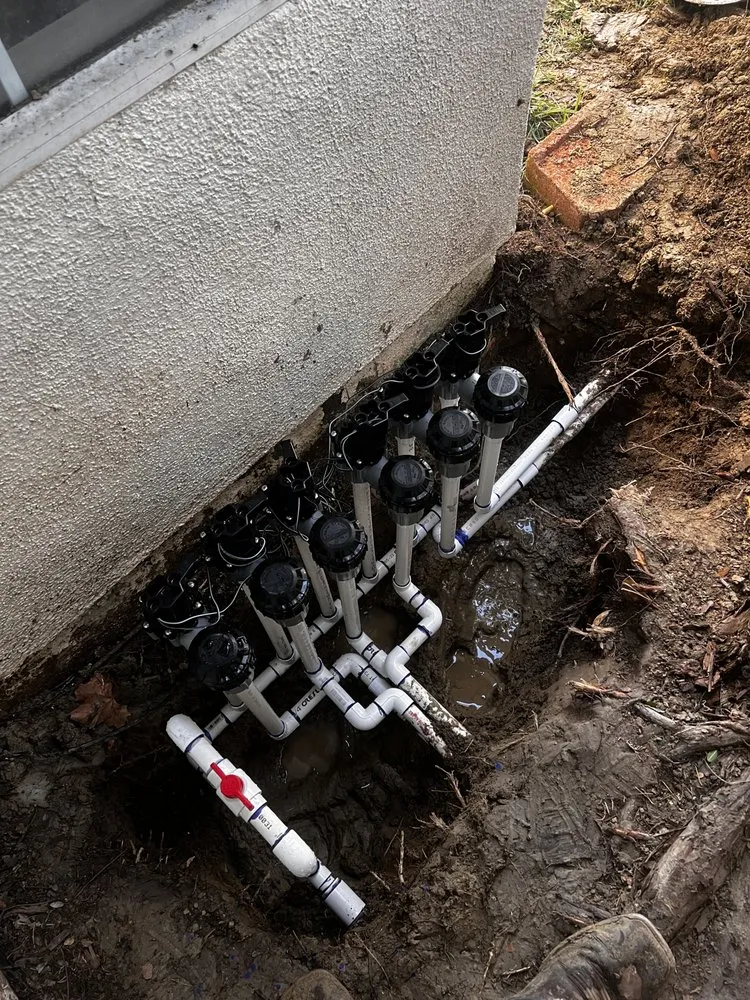 Reliable lawn mowing service with custom design across Menifee, CA - ShrubGator