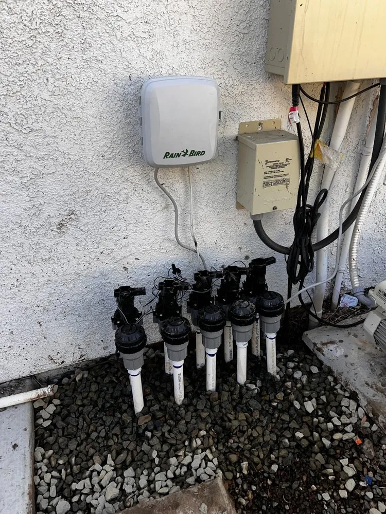 Local outdoor landscaping experts serving Menifee, CA - ShrubGator