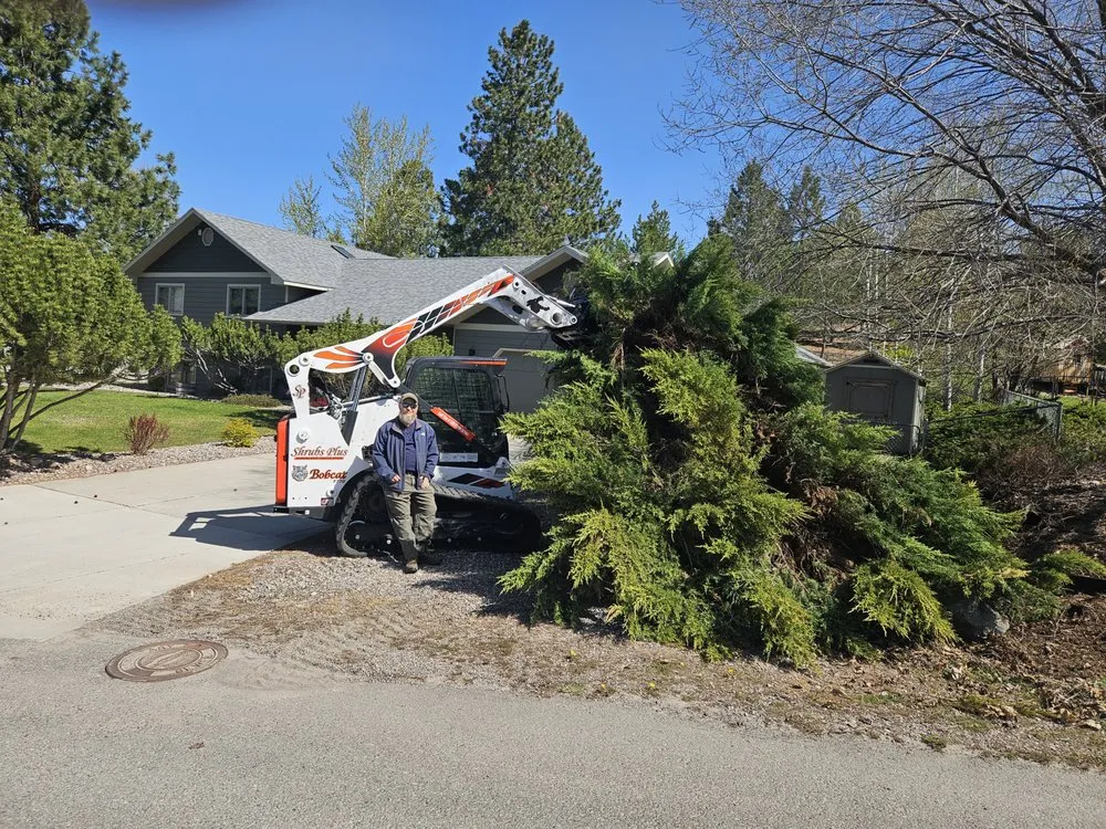 Professional lawn care service for residential properties in Missoula, MT by Shrubs Plus