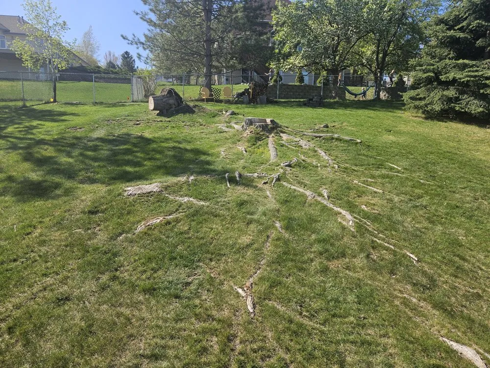 Professional residential landscaping for year-round maintenance across Missoula, MT - Shrubs Plus