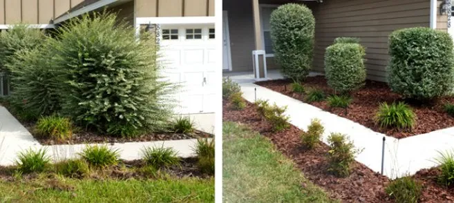 Professional outdoor landscaping for outdoor upgrades across Nolensville, TN - ShrubTeam Shrub & Small Tree Care