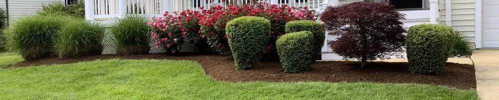 Affordable yard cleanup service experts serving Nolensville, TN - ShrubTeam Shrub & Small Tree Care