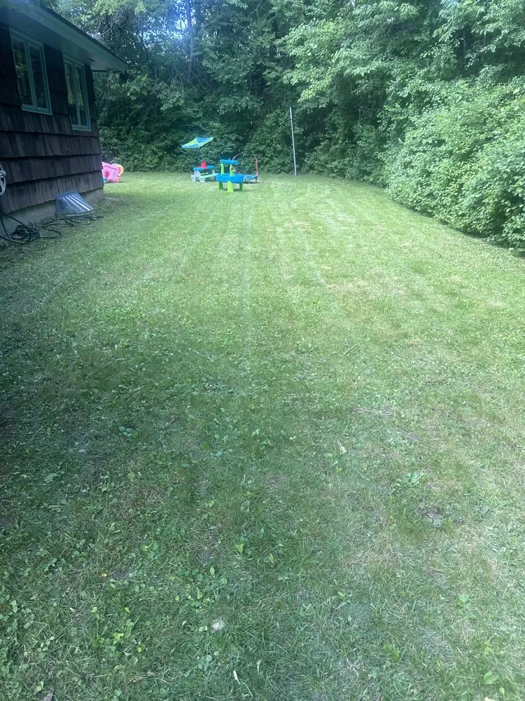 Reliable yard maintenance in Syracuse, NY by Shuaine Property Maintenance