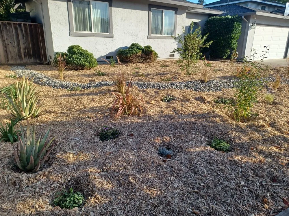 Local outdoor landscaping for beautiful yards in Santa Clara, CA by Shubha Landscape Design