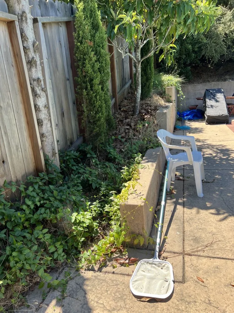 Professional yard maintenance experts serving Santa Clara, CA - Shubha Landscape Design