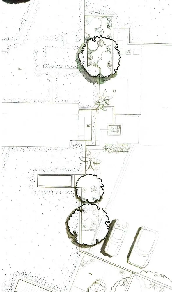 Expert yard cleanup service in Santa Clara, CA - Shubha Landscape Design