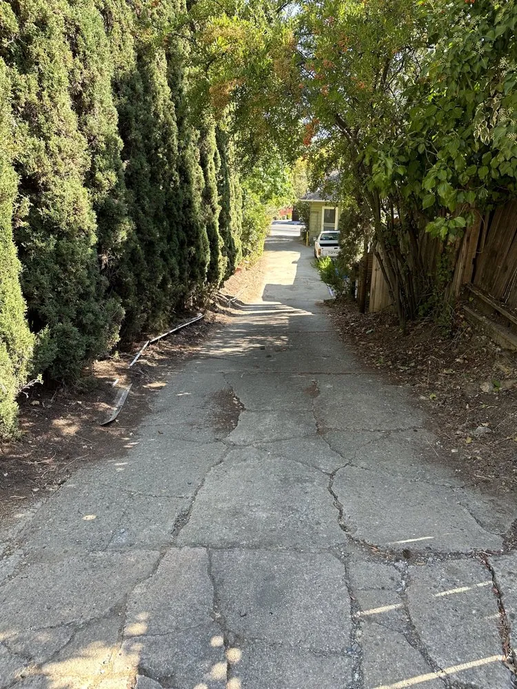 Top-rated lawn care service in Santa Clara, CA - Shubha Landscape Design