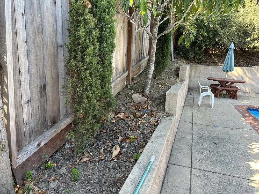 Affordable landscape installation in Santa Clara, CA by Shubha Landscape Design