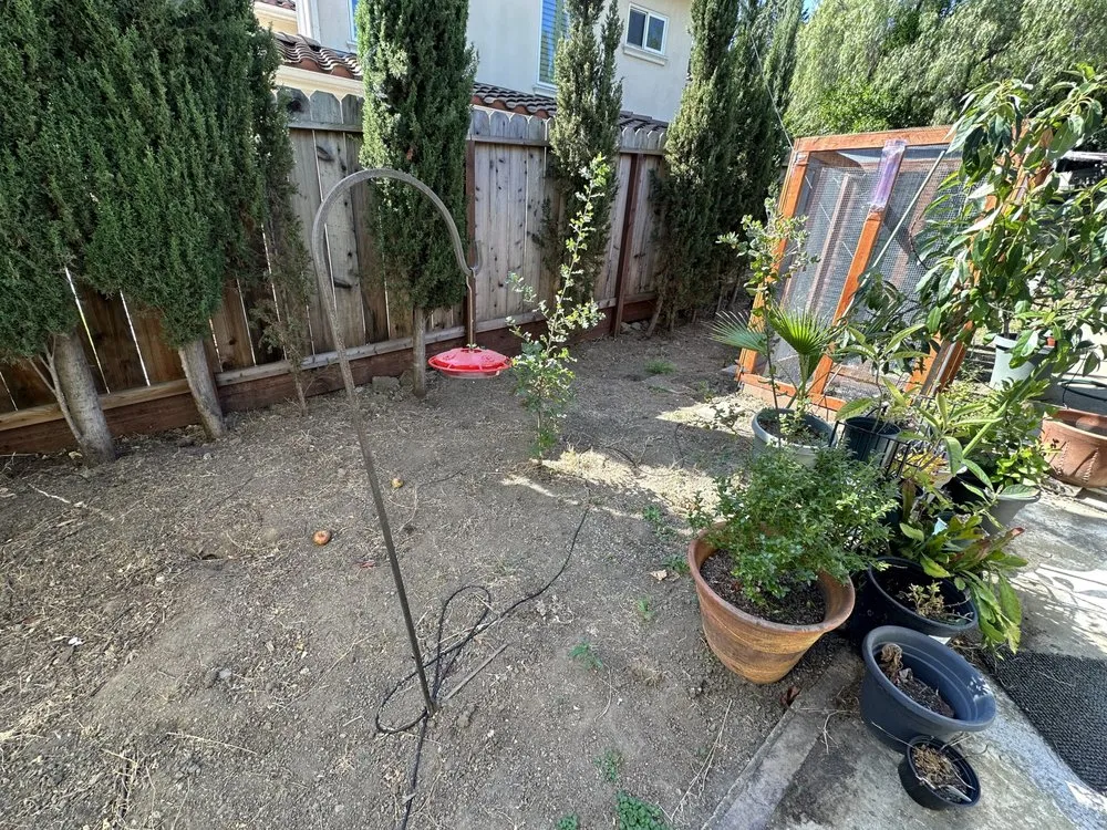 Professional landscaping services experts serving Santa Clara, CA - Shubha Landscape Design