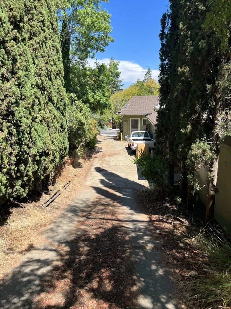 Local yard maintenance in Santa Clara, CA - Shubha Landscape Design