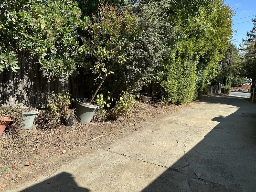 Affordable yard maintenance experts serving Santa Clara, CA - Shubha Landscape Design