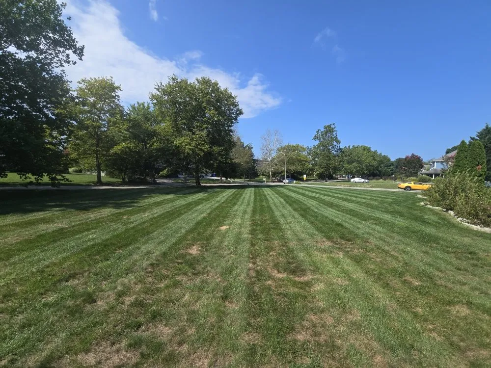 Professional yard cleanup service in Stafford Township, NJ by Shuckin Best Lawns