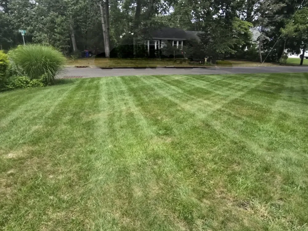 Trusted landscaping services for homes across Stafford Township, NJ - Shuckin Best Lawns