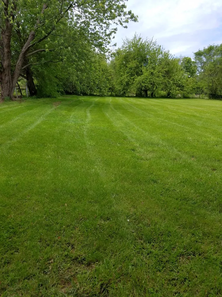 Custom lawn care service in Mooresville, IN by Shue's Lawn N More