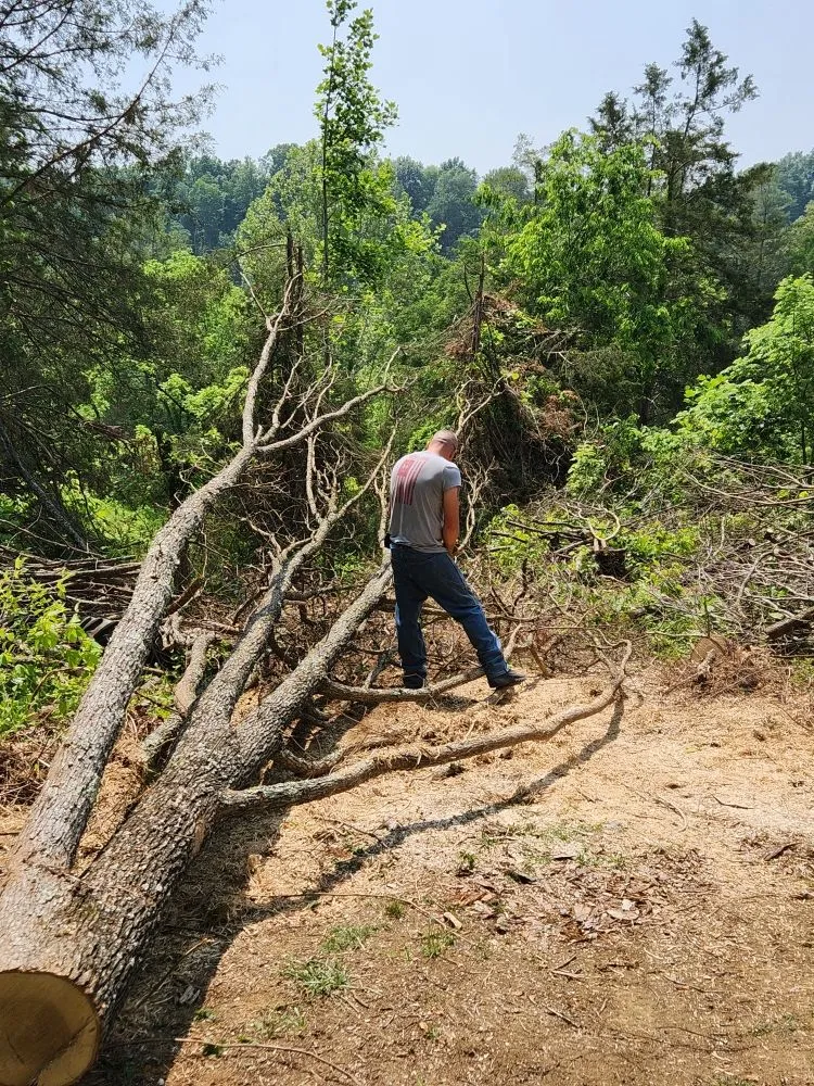 Affordable landscape design experts serving Washburn, TN - Shular Wood