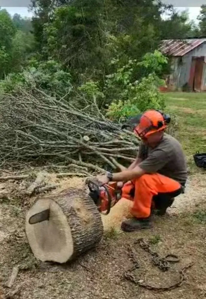 Expert landscape installation in Washburn, TN - Shular Wood