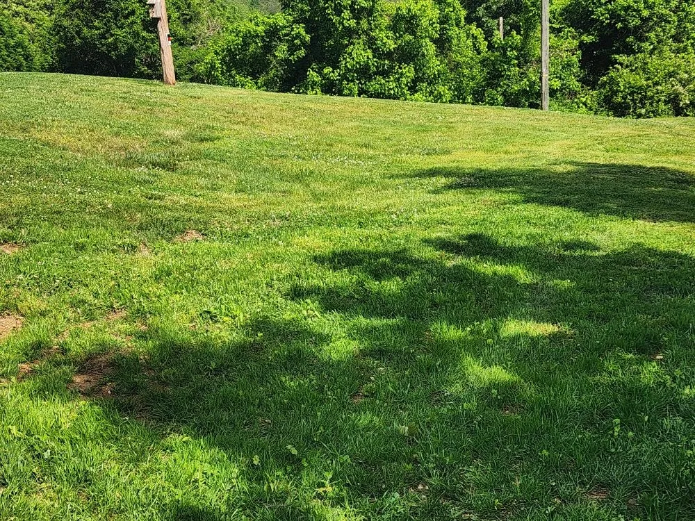 Affordable landscaping services experts serving Washburn, TN - Shular Wood