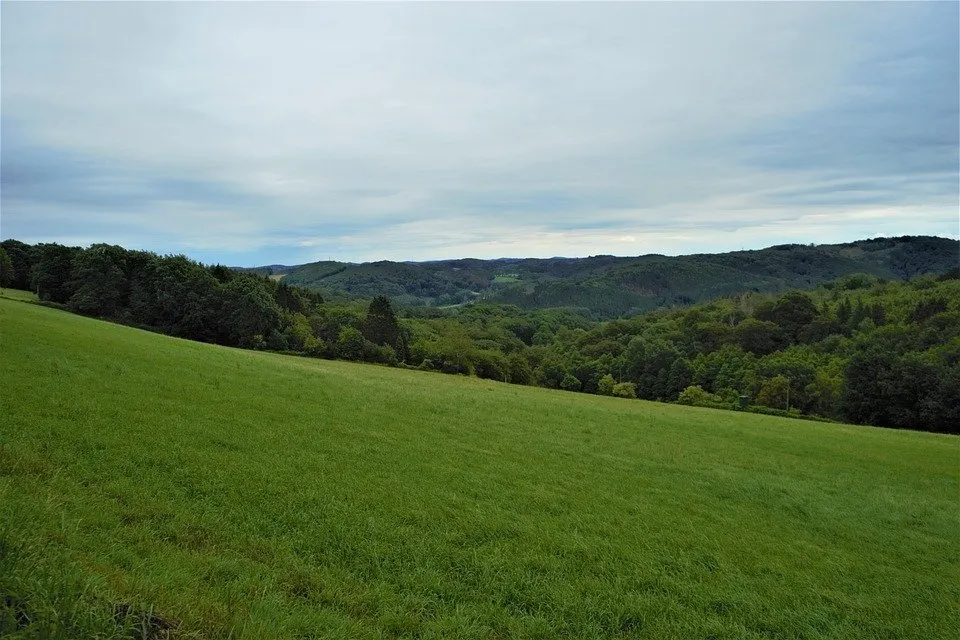 Reliable lawn care service in Washburn, TN - Shular Wood