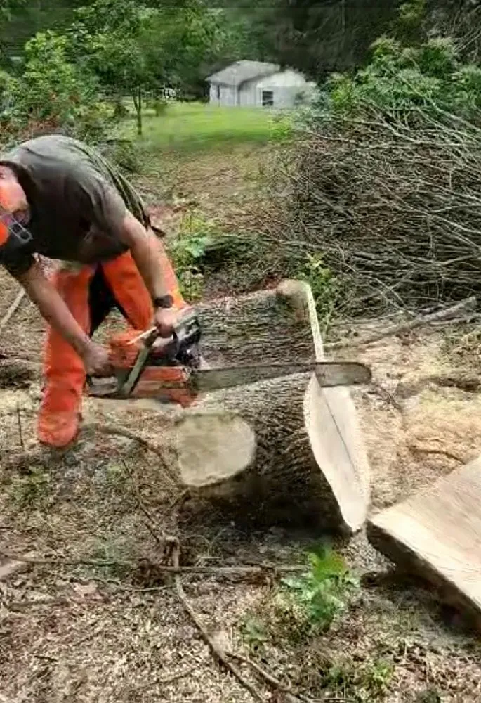 Professional lawn care service in Washburn, TN by Shular Wood