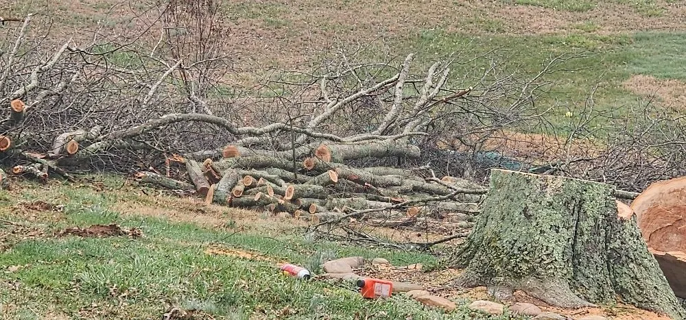 Expert residential landscaping near you in Washburn, TN by Shular Wood
