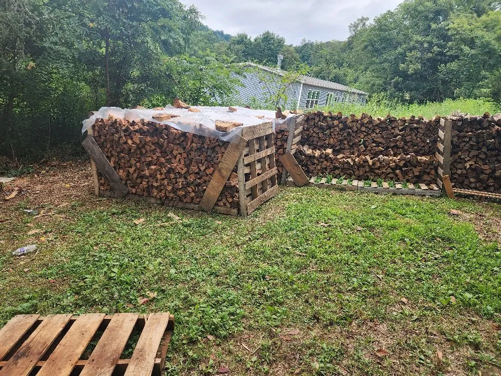 Trusted yard maintenance in Washburn, TN by Shular Wood