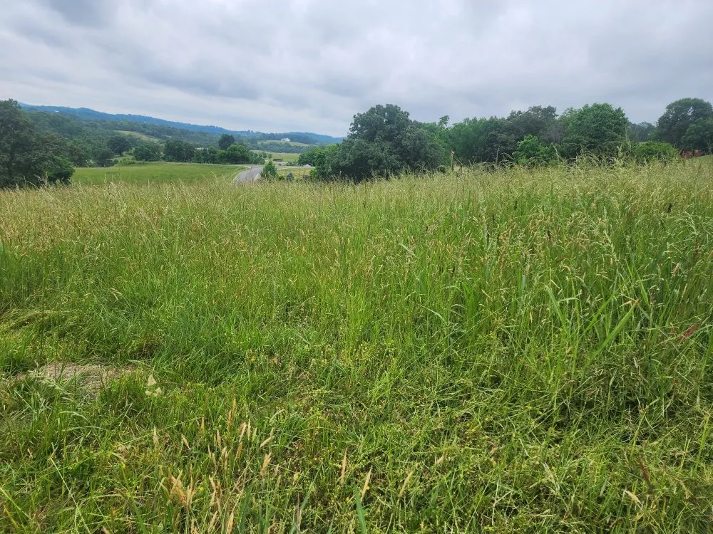 Expert garden landscaping experts serving Washburn, TN - Shular Wood