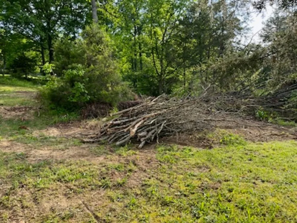 Top-rated yard cleanup service for homes across Washburn, TN - Shular Wood