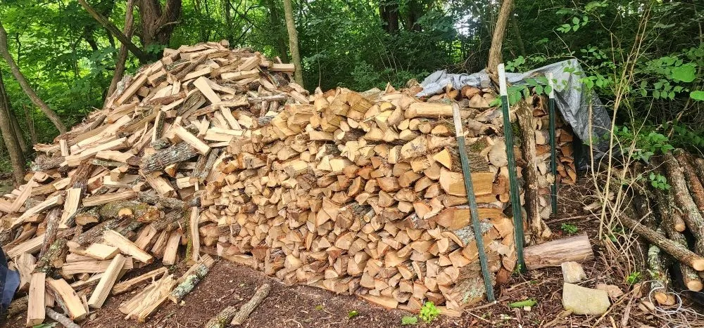 Professional landscaping services near you in Washburn, TN by Shular Wood