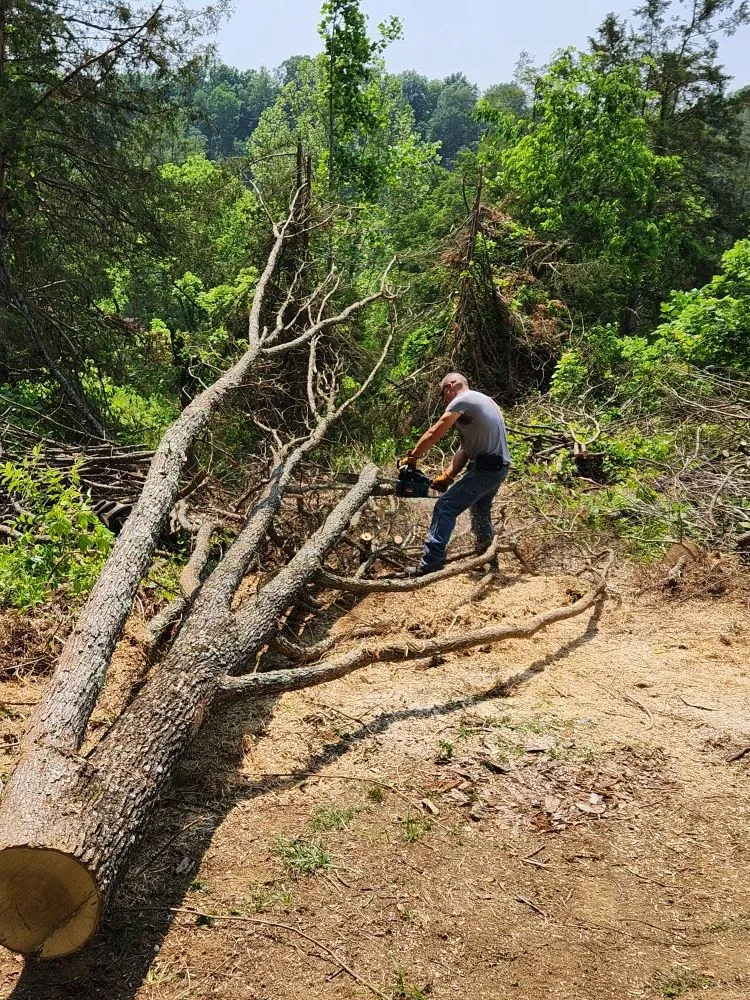 Local lawn care service for beautiful yards in Washburn, TN by Shular Wood
