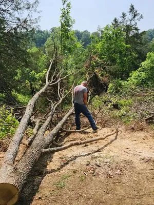 Shular Wood