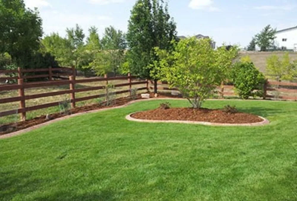 Professional outdoor landscaping for residential properties across Claremont, NC - Shuler's Lawn Care