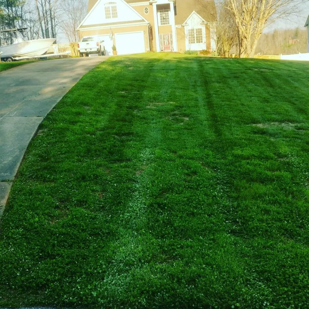 Local yard maintenance experts serving Claremont, NC - Shuler's Lawn Care