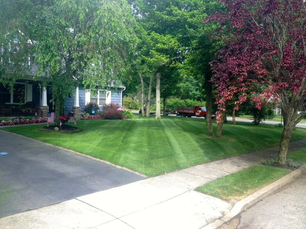 Trusted yard cleanup service in Ocean View, NJ - Shull Landscaping
