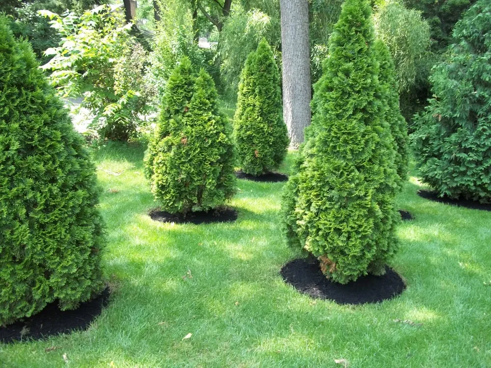 Trusted garden landscaping in Landisburg, PA by Shull's Landscaping
