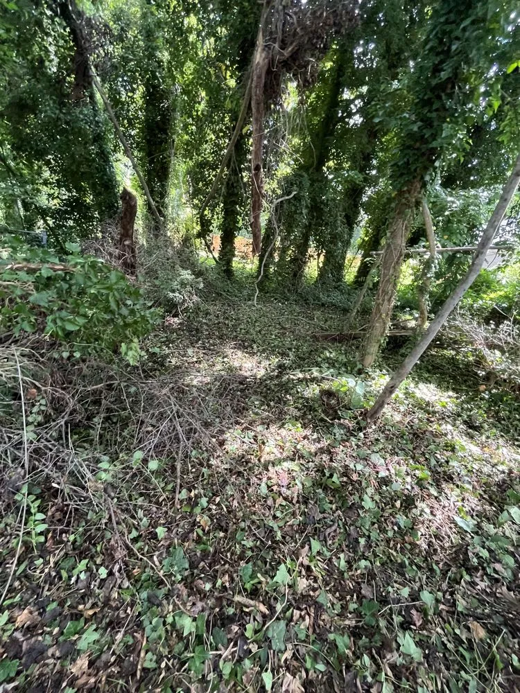 Affordable yard cleanup service for homes across Mebane, NC - Shumaker’s lawn care