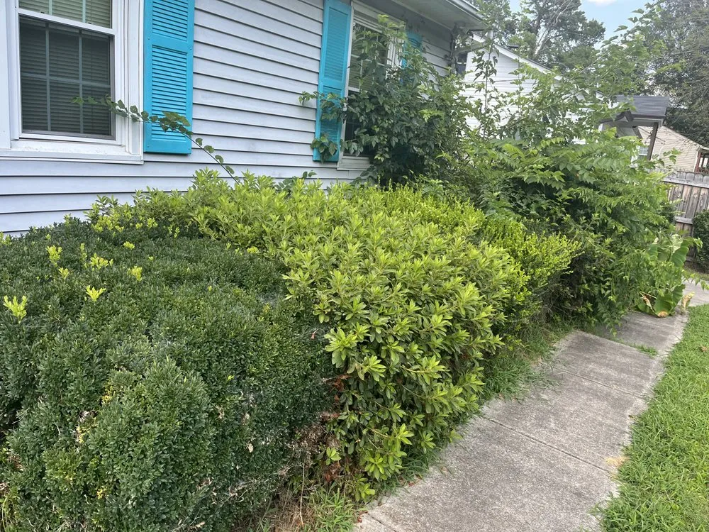 Top-rated landscape design in Mebane, NC - Shumaker’s lawn care