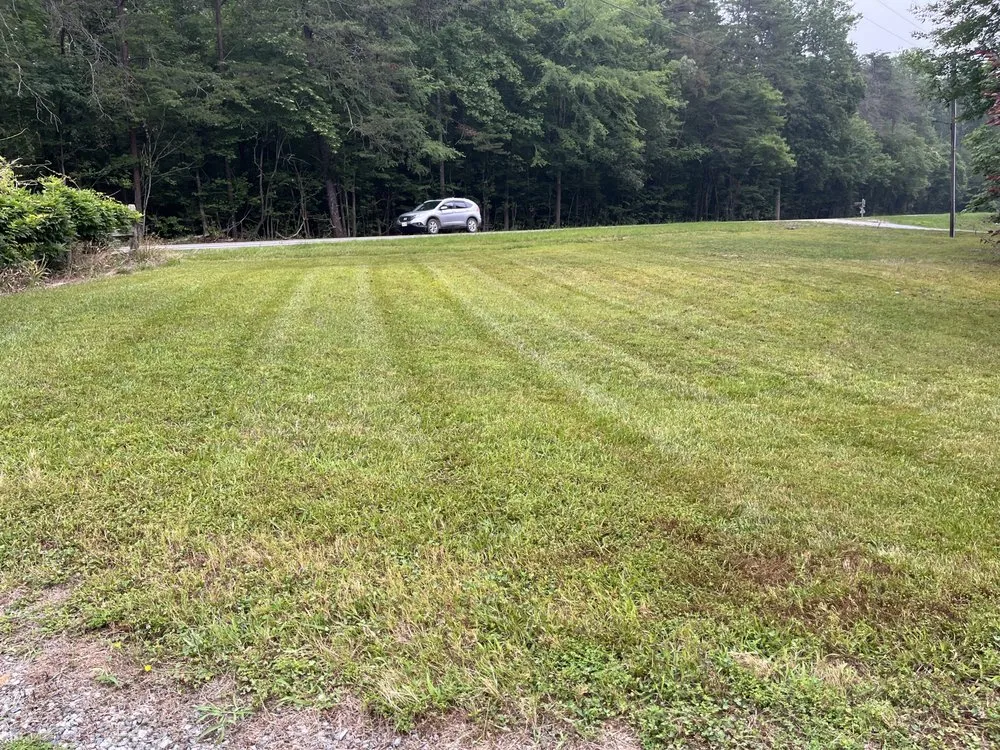 Reliable yard cleanup service for homes across Mebane, NC - Shumaker’s lawn care