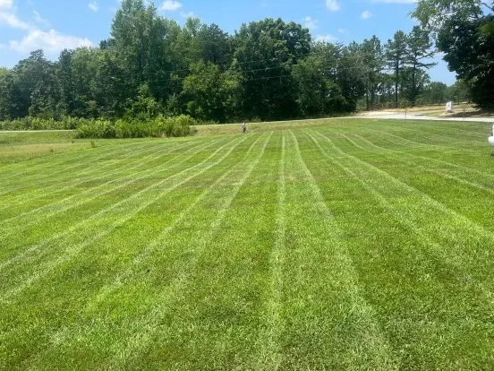 Local yard cleanup service experts serving Mebane, NC - Shumaker’s lawn care