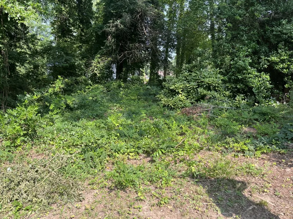 Expert outdoor landscaping near you in Mebane, NC by Shumaker’s lawn care