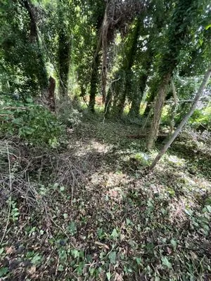 Shumaker’s lawn care Logo