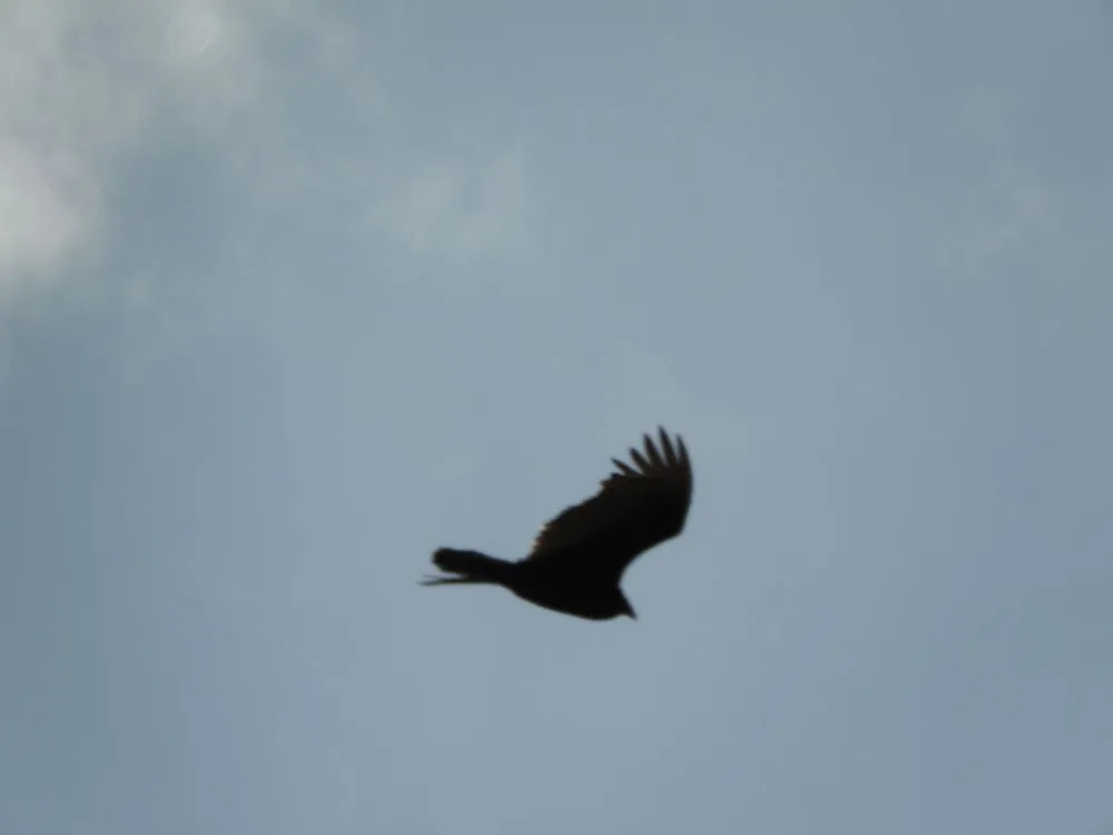 Local garden landscaping in Hadley, MA - Shumway Services