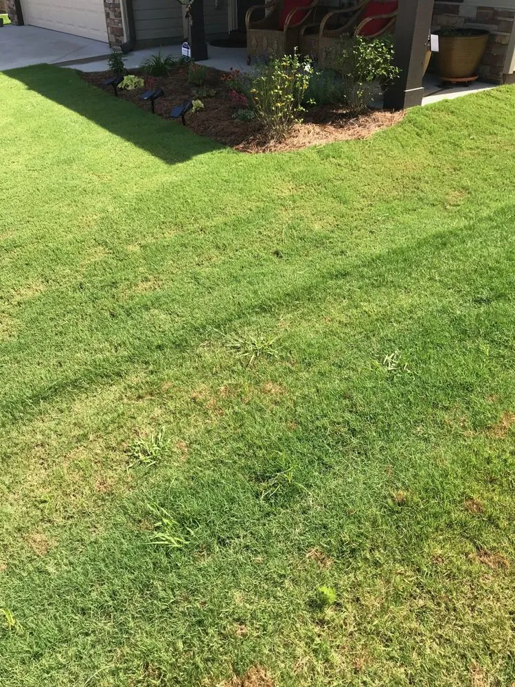 Top-rated garden landscaping with custom design across Spartanburg, SC - Shurburtt Group