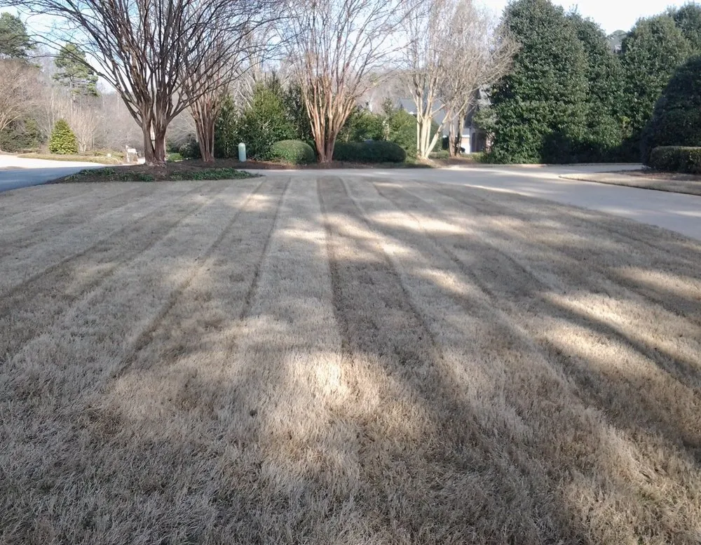 Professional landscaping services in Spartanburg, SC - Shurburtt Group