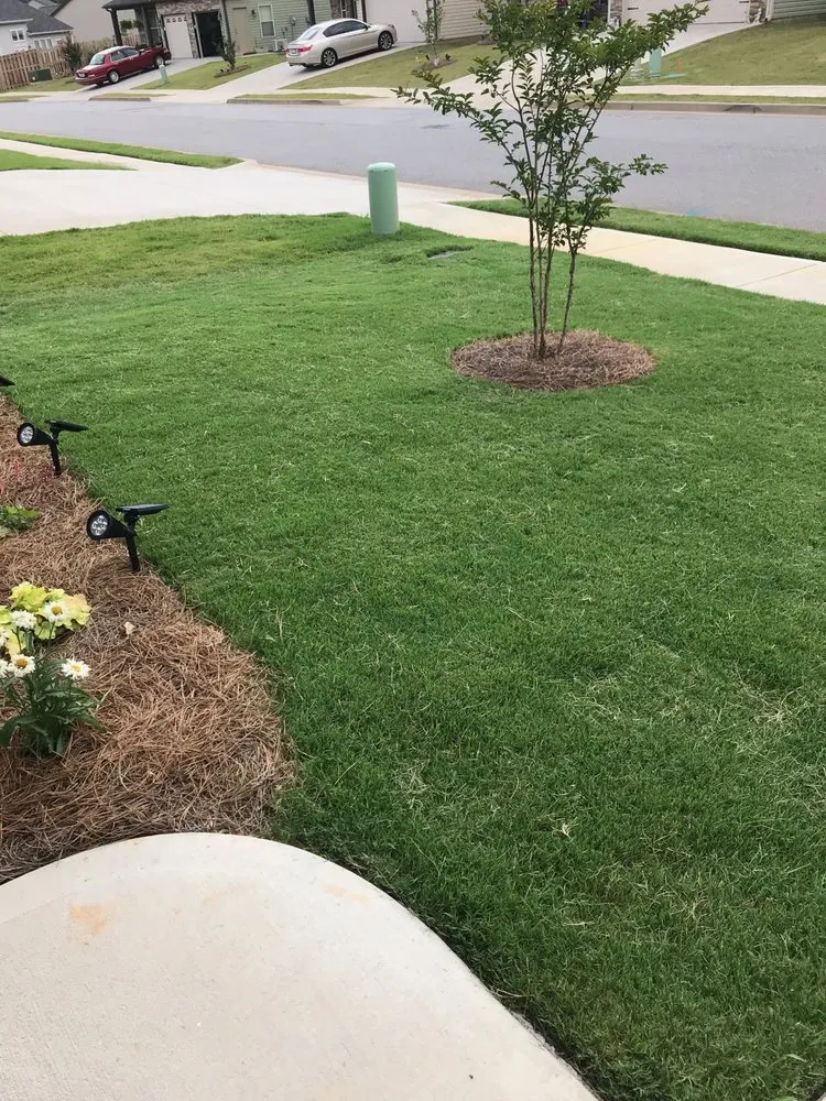 Expert yard maintenance in Spartanburg, SC by Shurburtt Group
