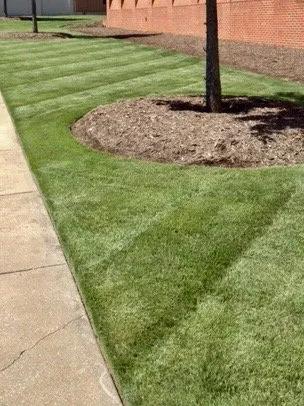 Expert landscape installation for homes in Spartanburg, SC by Shurburtt Group