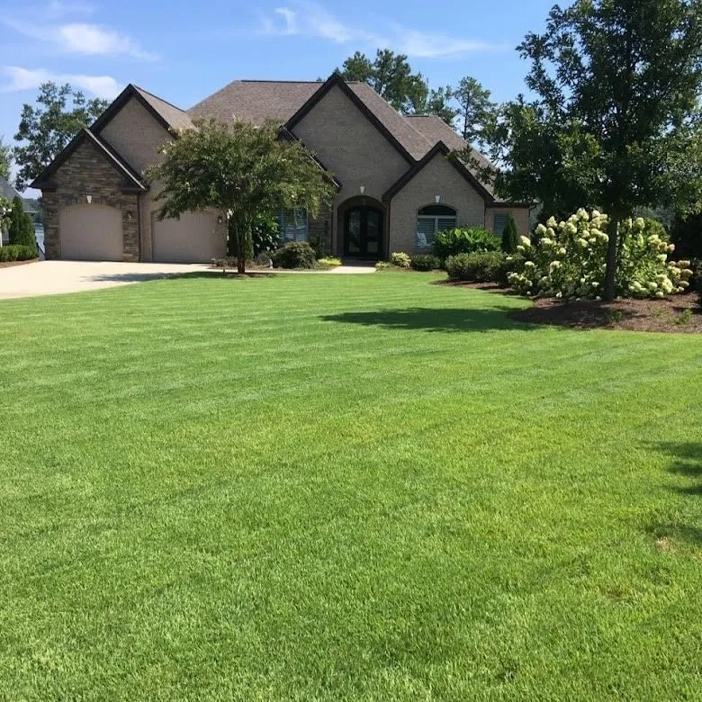 Expert yard cleanup service in Spartanburg, SC - Shurburtt Group