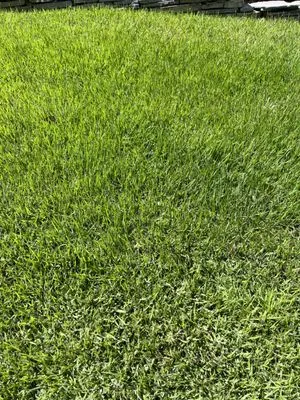 Shurburtt Group Logo