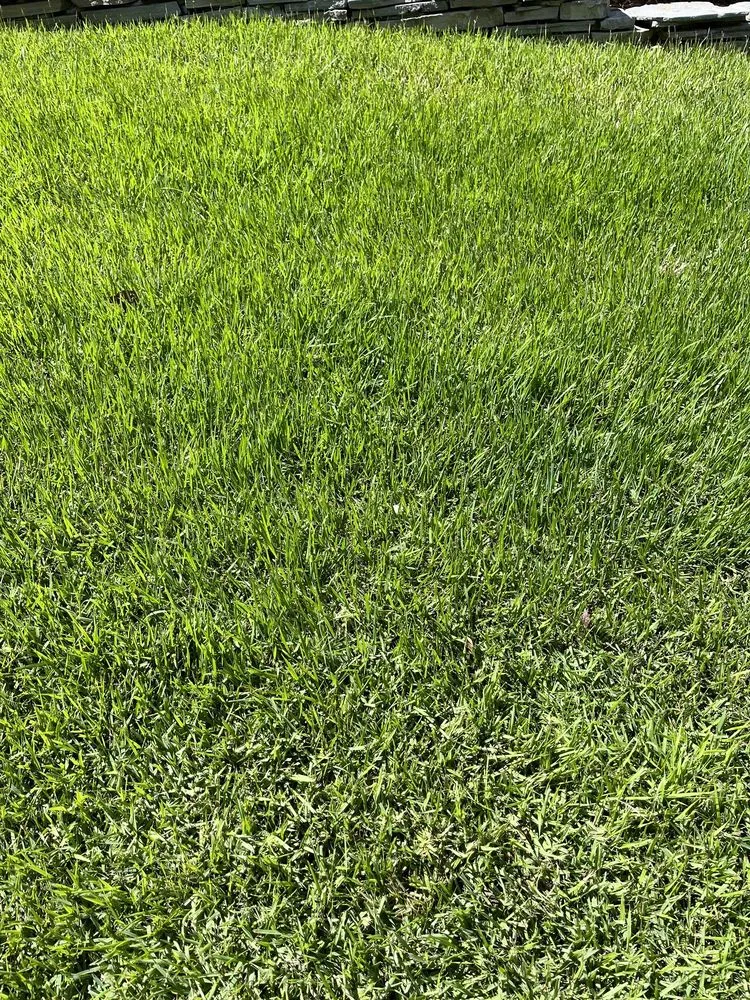 Professional landscape design in Spartanburg, SC by Shurgreen